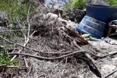 IMG-20190109-WA0023