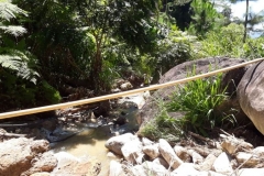 IMG-20190109-WA0027