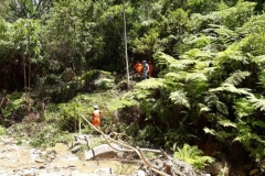 IMG-20190109-WA0028