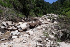 IMG-20190109-WA0029