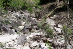 IMG-20190109-WA0032