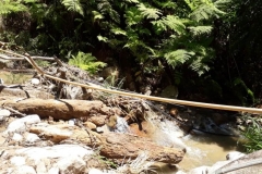 IMG-20190109-WA0035