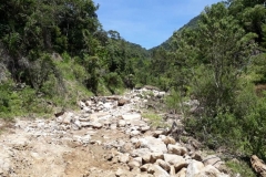 IMG-20190109-WA0037