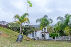 Praca-do-Caleme-comecou-a-receber-as-primeiras-mudas-das-50-arvores-que-serao-plantadas-no-bairro