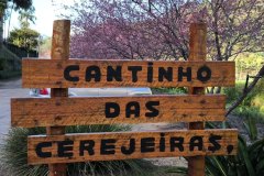 cantinho-das-cerejeiras-Teresopolis-01