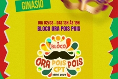 Carnaval-2025-na-Casa-de-Portugal-de-Teresopolis-05