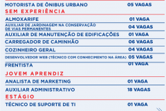 ‘Emprega-Tere-4
