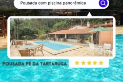 pe-da-tartaruga-01