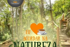 pe-da-tartaruga-03