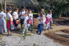 plantio-de-hortalicas-09