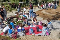 plantio-de-hortalicas-13