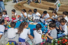 plantio-de-hortalicas-15