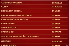 VAGAS-SINE-02