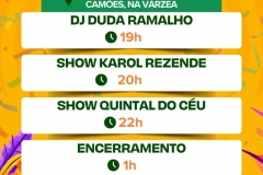 Carnaval-2025-em-Teresopolis-05