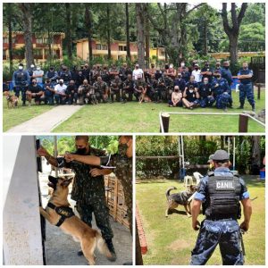 Treinão da Guarda Municipal reúne Polícia do Exército e Companhias de Operações com Cães de cinco municípios em Teresópolis
