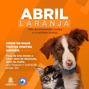 Campanha “Abril laranja” para prevenção contra a crueldade animal