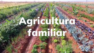 Teresópolis recebe o título de Capital Estadual da Agricultura Familiar