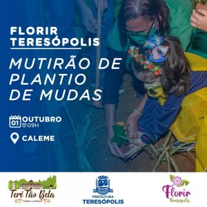 ‘Florir Teresópolis’: arborização dos bairros começa pelo Caleme