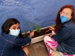 Unidade de Saúde do Pimentel tem plantio mudas em parceria com projeto da Fiocruz