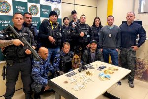 Cães farejadores da Guarda Civil Municipal de Teresópolis atuam com sucesso