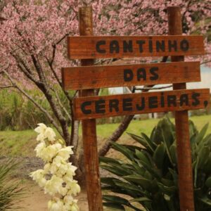 Cantinho das Cerejeiras em Teresópolis Cantinho das Cerejeiras em Teresópolis